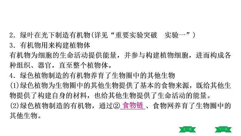 中考生物总复习课件4.第四章　  第五章　  第六章　爱护植被，绿化祖国第4页