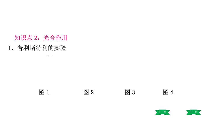 中考生物总复习课件4.第四章　  第五章　  第六章　爱护植被，绿化祖国第5页