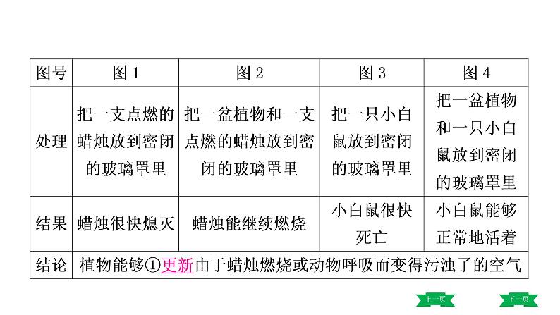 中考生物总复习课件4.第四章　  第五章　  第六章　爱护植被，绿化祖国第6页