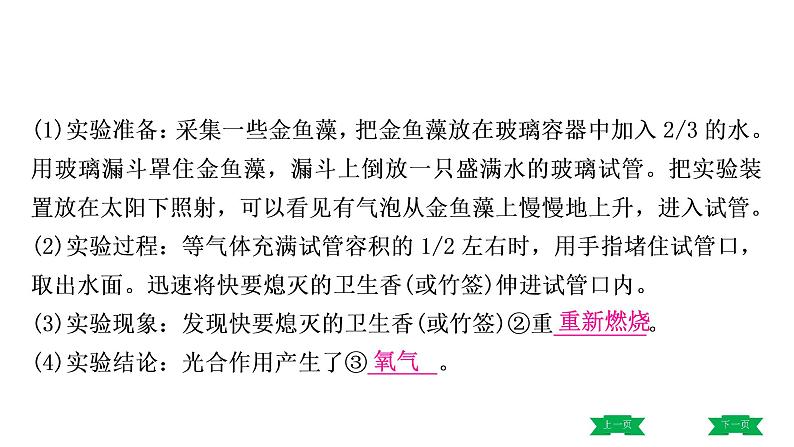 中考生物总复习课件4.第四章　  第五章　  第六章　爱护植被，绿化祖国第8页