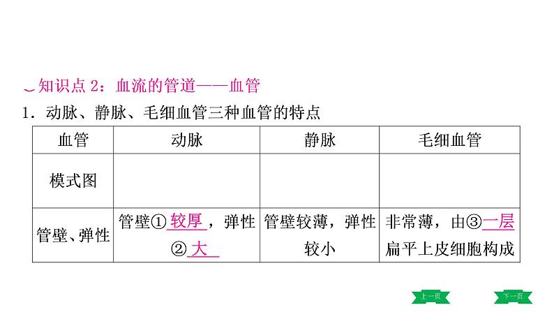 中考生物总复习课件4.第四章　人体内物质的运输第8页