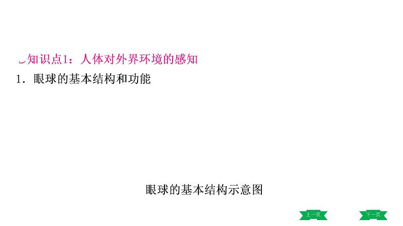 中考生物总复习课件6.第六章　人体生命活动的调节  第七章　人类活动对生物圈的影响第3页