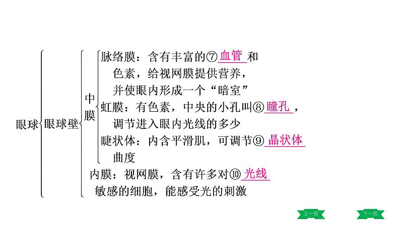 中考生物总复习课件6.第六章　人体生命活动的调节  第七章　人类活动对生物圈的影响第5页