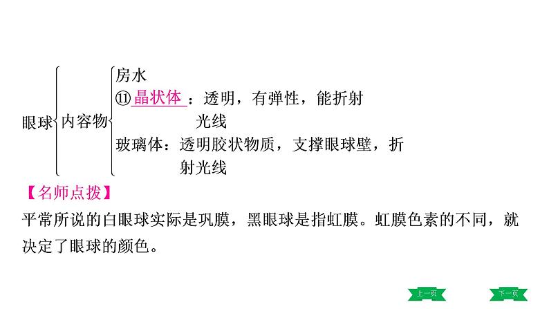 中考生物总复习课件6.第六章　人体生命活动的调节  第七章　人类活动对生物圈的影响第6页