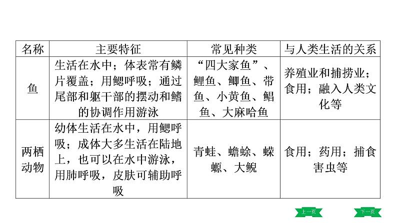 中考生物总复习课件1.第一章　动物的主要类群第8页