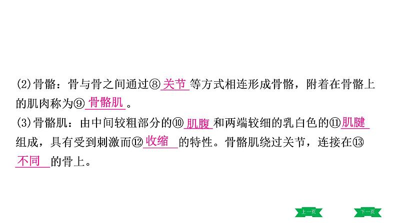 中考生物总复习课件2.第二章　动物的运动和行为  第三章　动物在生物圈中的作用06