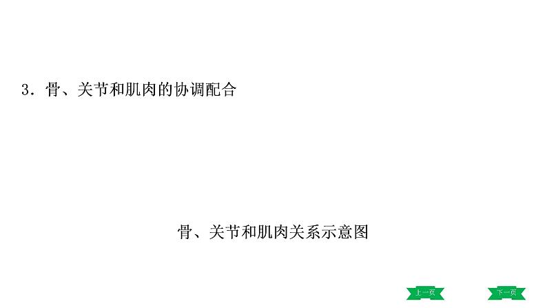 中考生物总复习课件2.第二章　动物的运动和行为  第三章　动物在生物圈中的作用08