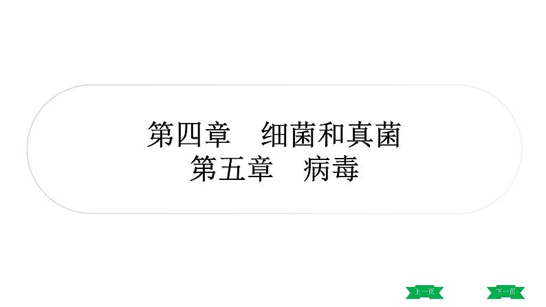 中考生物总复习课件3.第四章　细菌和真菌   第五章　病毒01