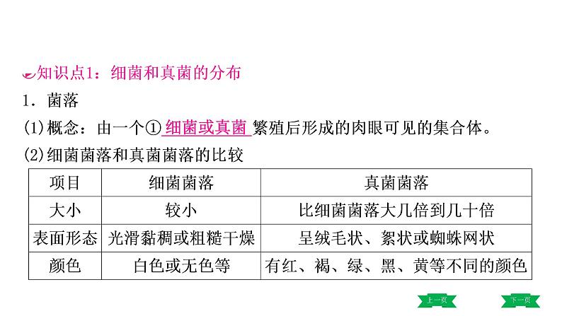 中考生物总复习课件3.第四章　细菌和真菌   第五章　病毒03