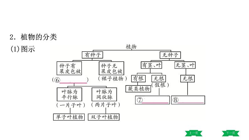 中考生物总复习课件6.第六单元　生物的多样性及其保护04