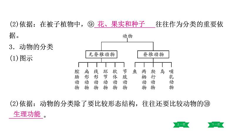 中考生物总复习课件6.第六单元　生物的多样性及其保护05