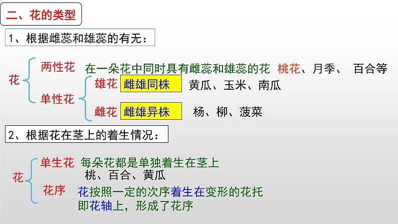 2023年中考生物全考点精讲课件--  绿色开花植物的一生（一）第5页