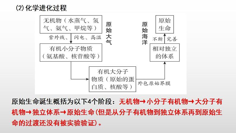 2023年中考生物全考点精讲课件--  生命的起源和进化第3页