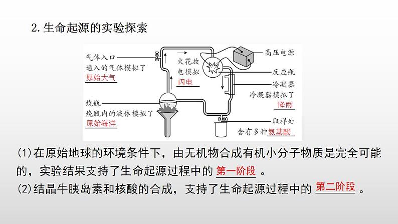 2023年中考生物全考点精讲课件--  生命的起源和进化第4页