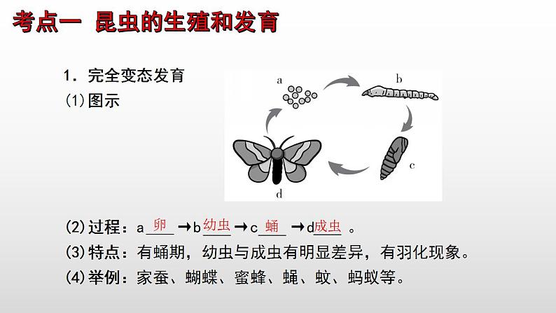 2023年中考生物全考点精讲课件--  生物的生殖和发育第3页