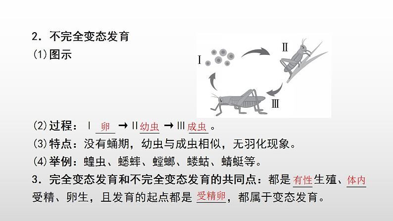 2023年中考生物全考点精讲课件--  生物的生殖和发育第4页