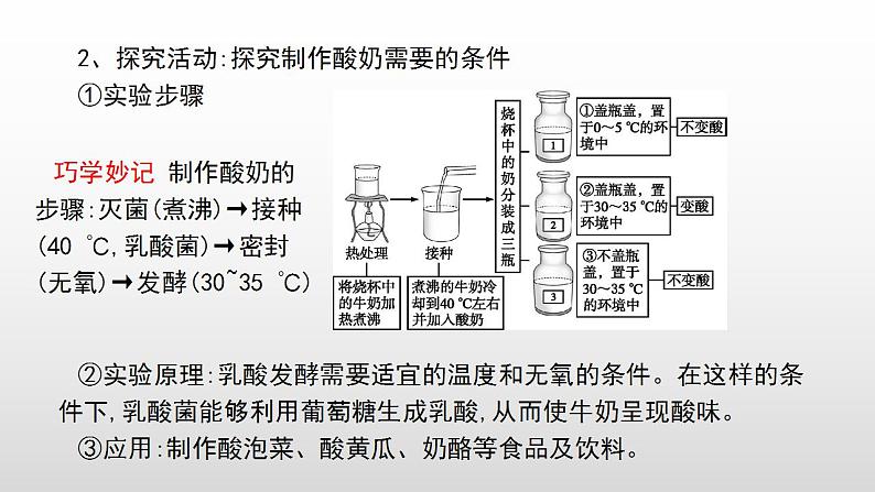 2023年中考生物全考点精讲课件--  生物技术第3页