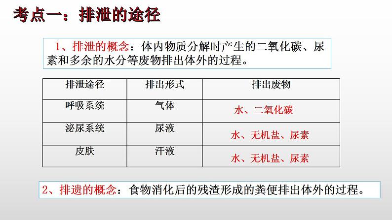 2023年中考生物全考点精讲课件--  生物圈中的人（四）人体内废物的排出第3页