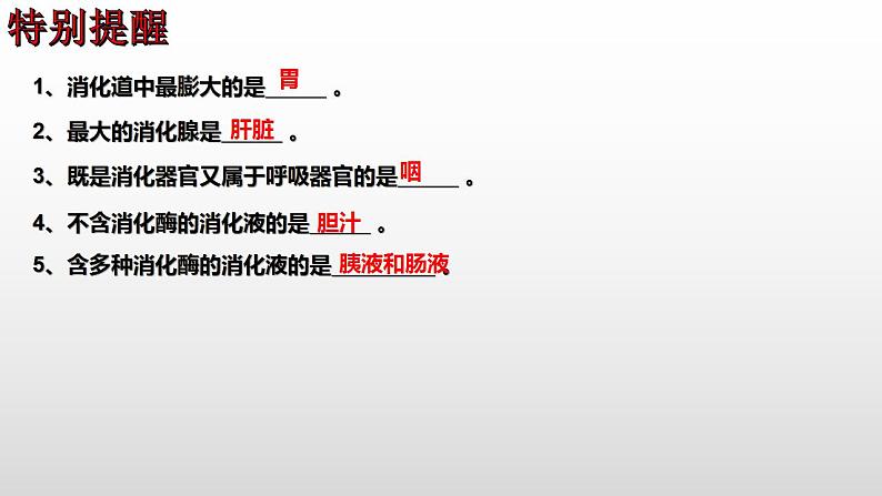 2023年中考生物全考点精讲课件--  生物圈中的人（一）人的生活需要营养第7页