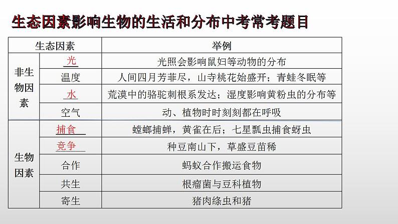 2023年中考生物全考点精讲课件--  生物与环境04