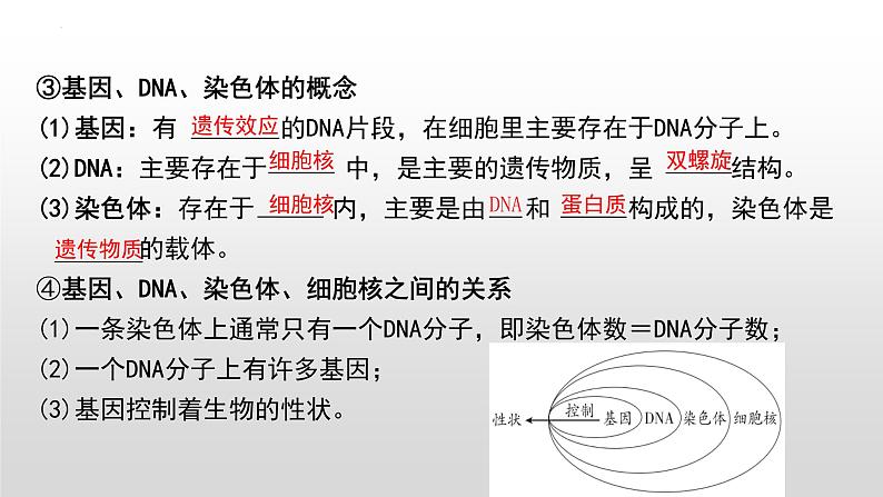 2023年中考生物全考点精讲课件--  遗传和变异第5页