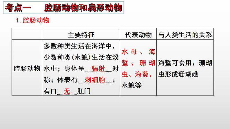 2023年中考生物全考点精讲课件-- 动物类群及动物的运动和行为第3页