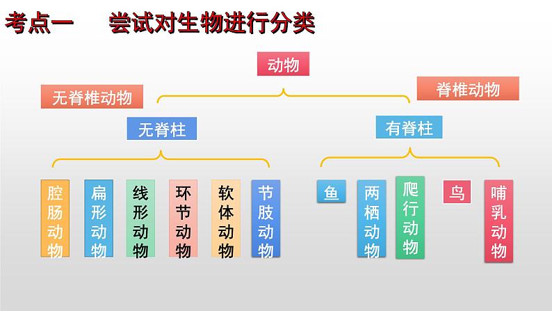 2023年中考生物全考点精讲课件-- 生物的多样性及其保护第7页