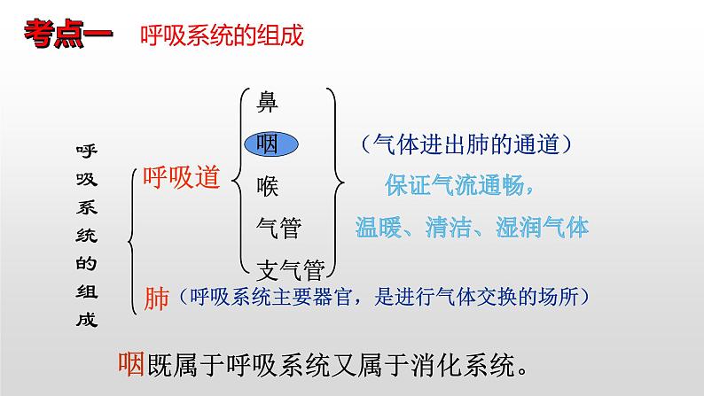 2023年中考生物全考点精讲课件-- 生物圈中的人（二）人的生活需要空气第3页