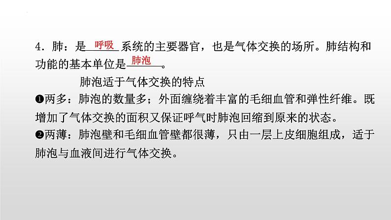 2023年中考生物全考点精讲课件-- 生物圈中的人（二）人的生活需要空气第7页