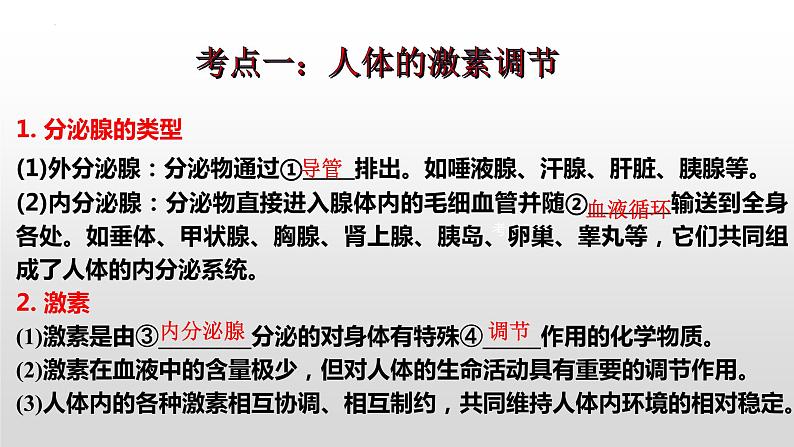 2023年中考生物全考点精讲课件-- 生物圈中的人（五）人体生命活动的调节第3页