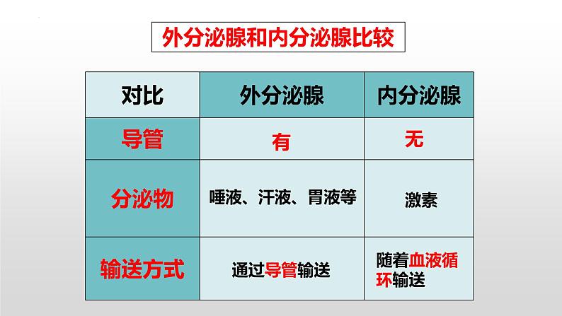 2023年中考生物全考点精讲课件-- 生物圈中的人（五）人体生命活动的调节第4页