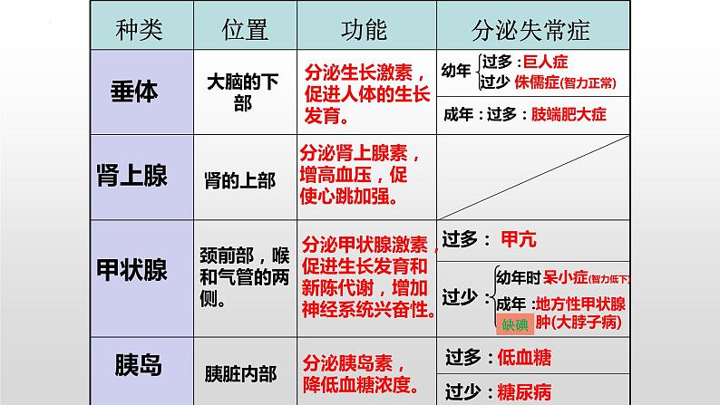 2023年中考生物全考点精讲课件-- 生物圈中的人（五）人体生命活动的调节第6页