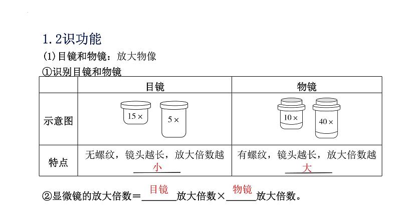 2023年中考生物全考点精讲课件-- 生物体的结构层次第5页