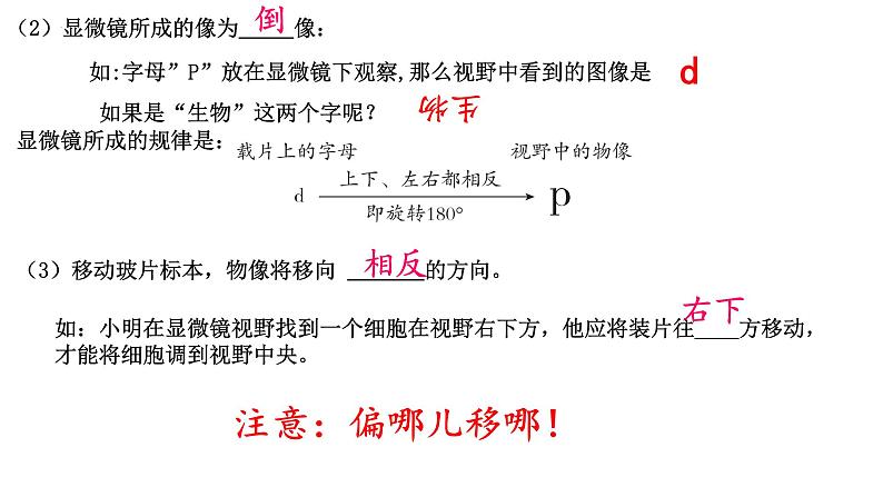 2023年中考生物全考点精讲课件-- 生物体的结构层次第8页