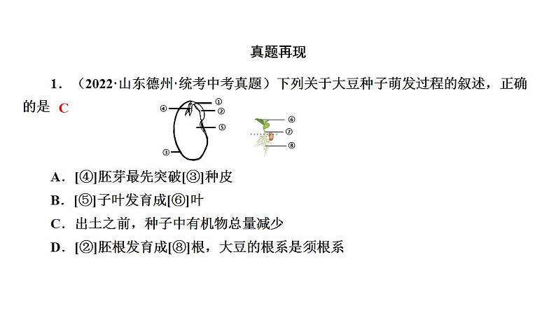 中考生物一轮复习精讲课件--  被子植物的一生第6页