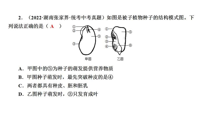 中考生物一轮复习精讲课件--  被子植物的一生第7页