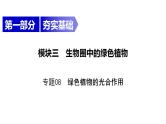 中考生物一轮复习精讲课件--  绿色植物的光合作用