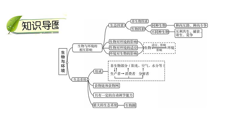 中考生物一轮复习精讲课件--  生物与环境03