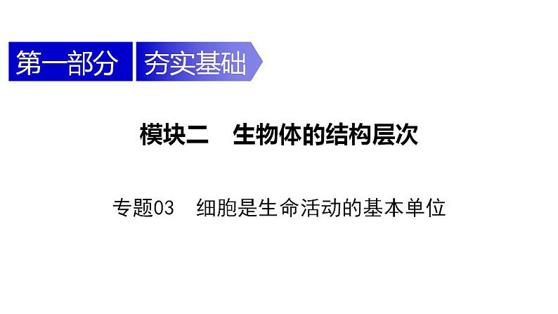 中考生物一轮复习精讲课件--  细胞是生命活动的基本单位01