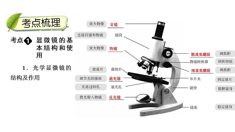 中考生物一轮复习精讲课件--  细胞是生命活动的基本单位04