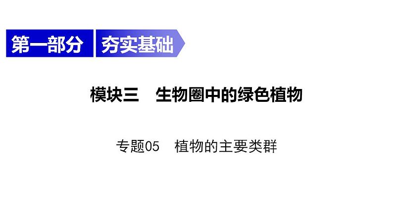 中考生物一轮复习精讲课件--  植物的主要类群第1页