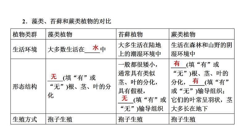 中考生物一轮复习精讲课件--  植物的主要类群第5页