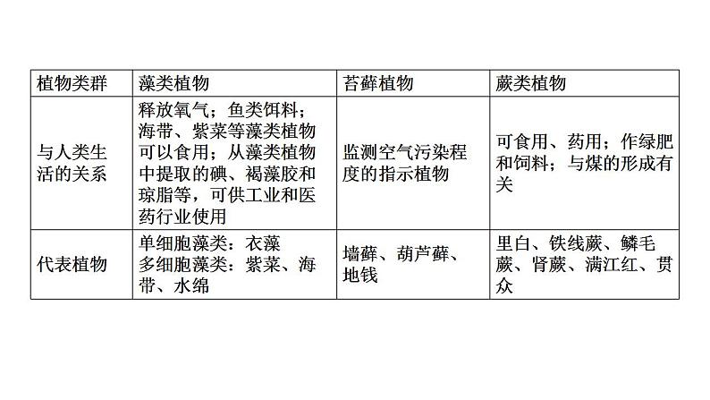 中考生物一轮复习精讲课件--  植物的主要类群第6页