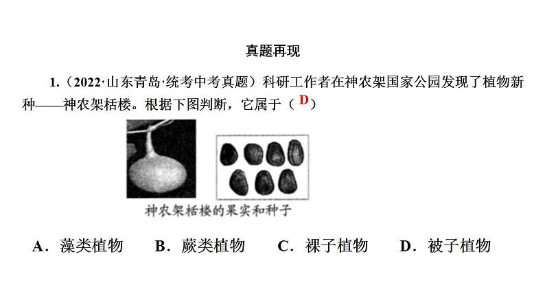 中考生物一轮复习精讲课件--  植物的主要类群第8页