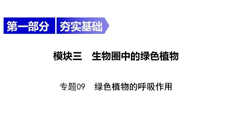 中考生物一轮复习精讲课件-- 绿色植物的呼吸作用第1页