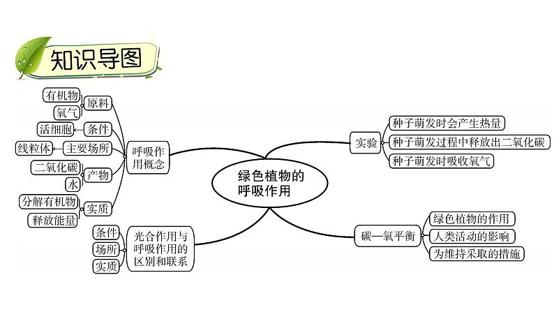 中考生物一轮复习精讲课件-- 绿色植物的呼吸作用第3页