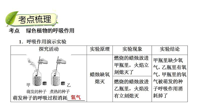 中考生物一轮复习精讲课件-- 绿色植物的呼吸作用第4页