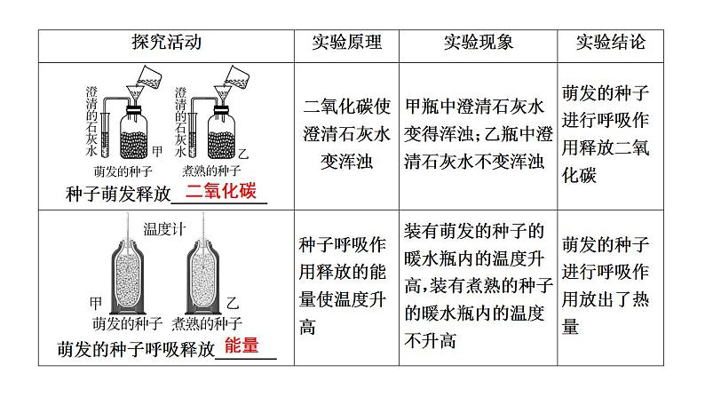 中考生物一轮复习精讲课件-- 绿色植物的呼吸作用第5页