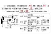 中考生物一轮复习精讲课件-- 绿色植物与生物圈的水循环