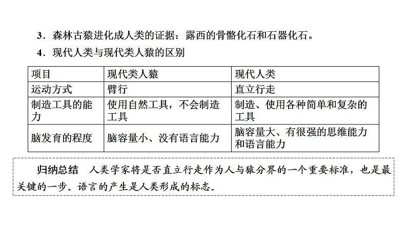 中考生物一轮复习精讲课件-- 人的由来05